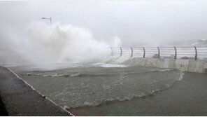 태풍과 37km 좁혀진 부산 비 소강 상태…“추가 비 가능성 있어”