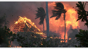 美하와이에 대형 산불… 최소 36명 사망 