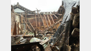 서울 지나는 태풍 ‘카눈’…가로수 쓰러지고 지붕·외벽도 파손