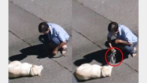 주인 휘두른 채찍 폭행에도 ‘납작’…구미 강아지 ‘낑’ 소리도 안 냈다