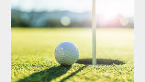 회식 중 캐디 꼬집고 만진 30대 마스터…“취해 기억 안나” 주장했지만