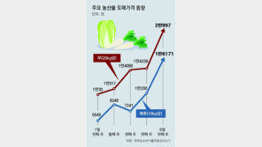 전 세계 덮친 ‘히트플레이션’… 물가-성장률에 악영향 우려