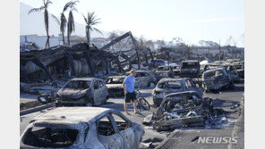 외교부 “마우이 산불 국민 피해 없어…연락두절 모두 소재 확인”