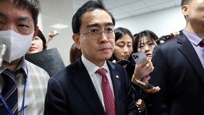 태영호 “강남에서 재선 위해 최선을 다할 것…끝까지 해볼 것”