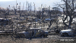 “사이렌도 안 울렸다”…하와이 산불 대응 정부 책임론 확산