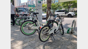 따릉이 빌리려던 중학생 흉기로 위협…경찰, 용의자 추적 중