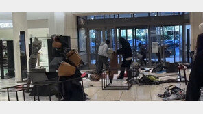 30명 몰려와 백화점 명품 1억원 털었다… LA-뉴욕 등 美전역 ‘떼도둑’ 공포 확산 