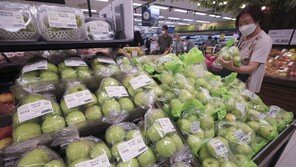 사과 출하량 20% 감소 