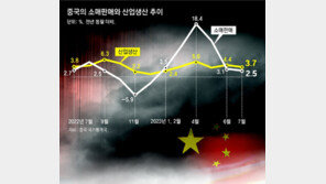 [사설]금융으로 번지는 中 부동산 위기… ‘아시아판 리먼 위기’ 오나