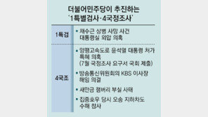 민주 ‘1특검-4국조’ 동시다발 추진… 당내서도 “모두 제대로 할 역량있나”