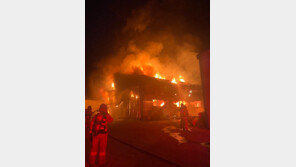 창원 수산물 가공 공장서 불…54분만에 진화 ‘인명피해 없어’