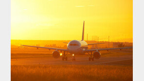 271명 탄 여객기 조종사 건강이상 긴급 착륙…조종사 사망 