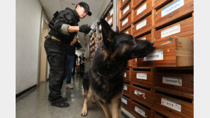 경찰 ‘폭발물 설치’ 메일에 광주시청 수색…“특이사항 없어”