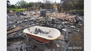 하와이 산불 사망, 106명…주지사 “신원 확인 매우 어려워”