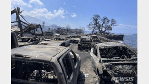 반려견 몸으로 덮은채…3대 4명 끝내…하와이의 슬픔