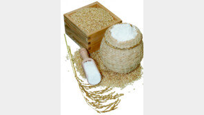 빵-맥주를 우리 가루쌀로… “수입 밀 10% 대체할 것”