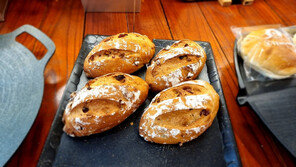 쌀빵부터 아이스크림까지… 가루쌀 무한변신에 아낌없이 지원