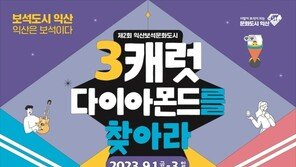 ‘3캐럿 다이아 먼저 찾으면 임자’…익산서 진짜 보물찾기