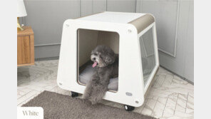 [스케일업] 케어포유 [3] “상표, 특허 등 지식재산권을 보호하는 방법”