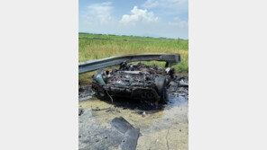 페라리 가드레일 들이받고 전소…운전자 대피, 3억5000만원 재산피해