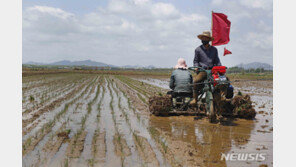 국정원 “北 아사자 2배 늘어”…통일부 “주요 식품 폭등”
