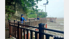 바다와 숲길 거닐며 스트레스 날려요