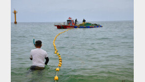상어 출몰 경고음 커지는데… 부산시 안전대책 전무