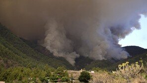 폭염 속 스페인 휴양지 섬에서 대형 산불…수천 명에 대피령