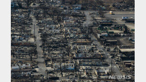 하와이 산불 검은 연기에 사라진 여동생…유가족이 전한 사연