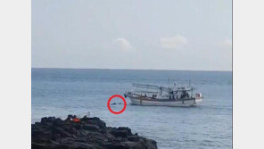 돌고래 등에 올라탈 듯한 낚시어선 적발