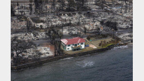 산불로 초토화된 하와이…잿더미 속 멀쩡한 ‘빨간 지붕 집’ 한 채