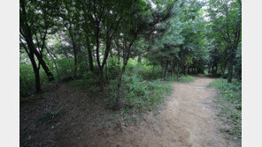 대낮 신림동 성폭행 사건…전문가들 “묻지마 범죄 아닌 표적 범죄”