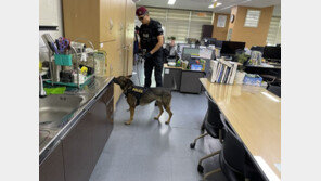 순천시청 폭파물 설치 협박 메일에 시청 수색