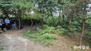 “이건 살인사건”…대낮 등산로 성폭행범 피해 가족 눈물