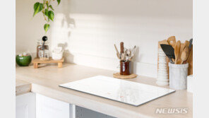 “같은듯 전혀 다르네”…‘인덕션 vs 하이라이트’ 구분법은?