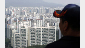 ‘반등장’ 이끄는 영끌족?…상반기 2030 아파트 매입비중 ‘역대 최대’