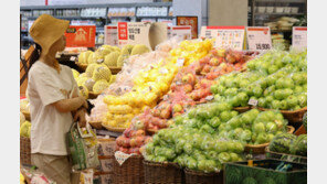 폭염-태풍에 과일값도 올라… 사과, 작년보다 40% 껑충