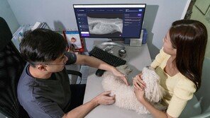 ‘AI가 반려동물 진단’ SKT 엑스칼리버, 복부질환도 잡아 