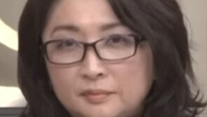 “한미일 튼튼해지려면 한일 관계 중요… 日, 보다 적극 대응해야”