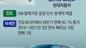 시장확대 속도내는 中전기차… 인도서 韓日과 격돌