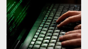 “념두 둔 것” 북한식 표현에 덜미잡힌 北 ‘김수키’