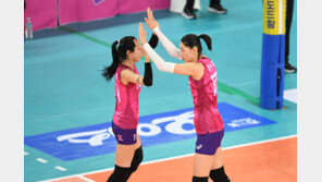 이다영 ‘김연경 폭로’에 전여옥 “식빵언니 모르는 국민 있나”