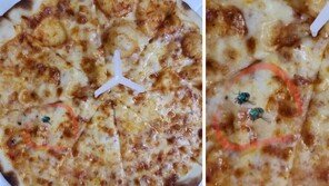 피자 위 ‘파리 사진’ 합성하고…“비위생적” 별점 테러한 고객
