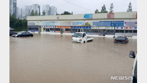 태풍·폭우에도…車보험 손해율 70%대 후반