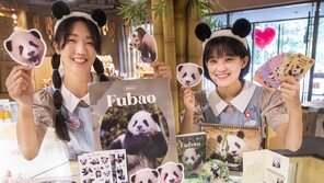 “푸바오 팬 모이세요” 한정판 굿즈 출시