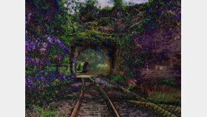 美 법원 "인간 개입 없는 AI 창작물, 저작권 보호 못 받아"