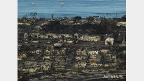 하와이 산불에 아직도 850명 연락두절…사망자 114명