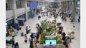 ‘300만원을 4000원으로 바꿔치기’ 항공기서 잠든 승객 돈 절도 외국인