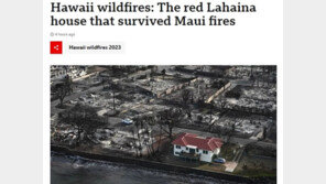 마우이 대화재에서 유일하게 살아남은 빨간지붕 집, 큰 화제