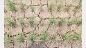 기후변화 반영하니…물 부족량, 기존 전망치 대비 2.4배↑